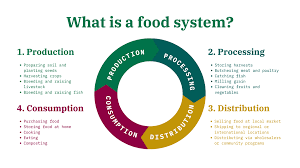 food and food system
